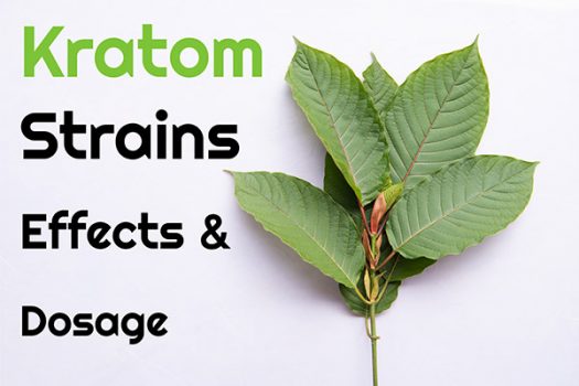 Kratom Strains Explained: Effects, Dosage, and How to Choose the Right One