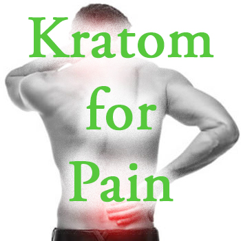 Best Kratom Strains for Pain, Energy, Euphoria, and Sedation